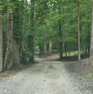 Meet your Posher, Angel